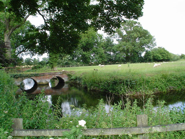DSC00105