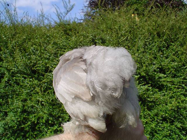 DSC00142