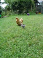 DSC00107