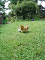 DSC00108
