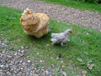 DSC00127
