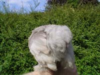 DSC00142