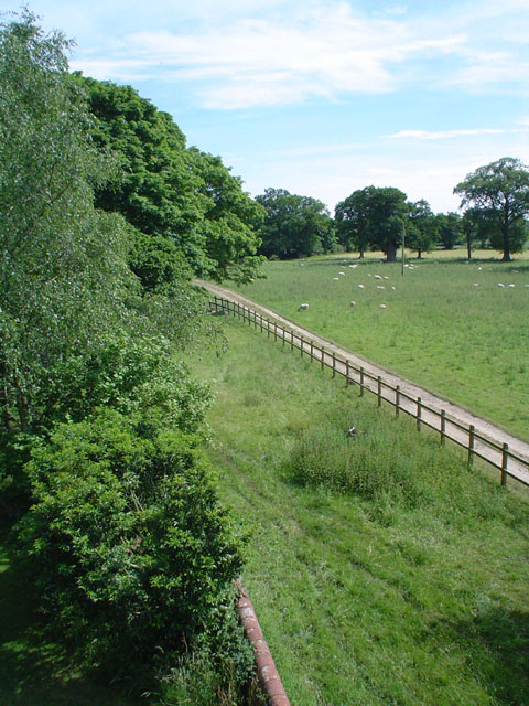 DSC00144