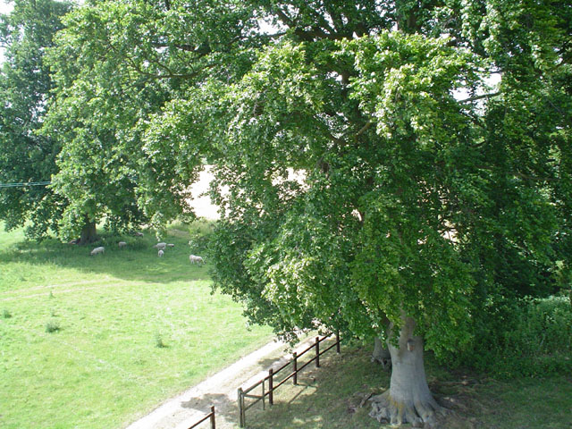 DSC00151