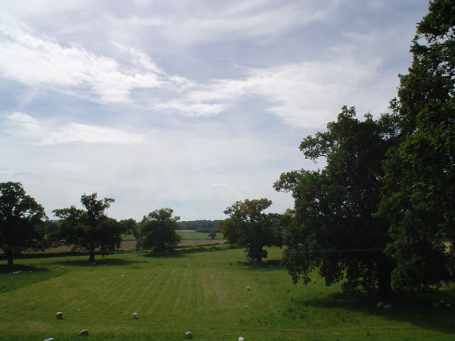 DSC00155
