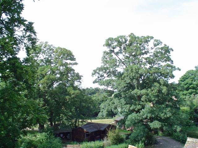 DSC00156