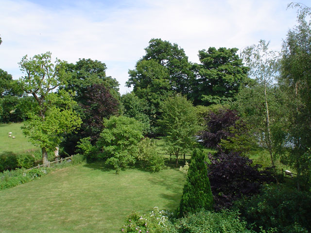 DSC00162