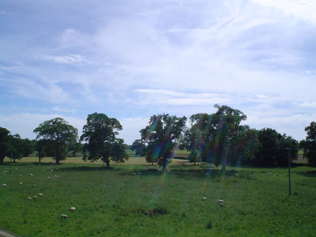 DSC00163