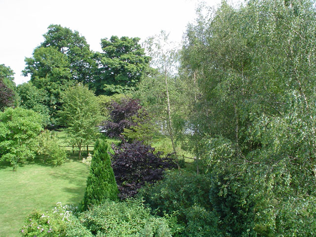 DSC00166