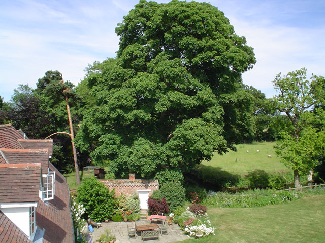 DSC00170