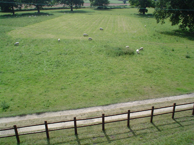 DSC00178