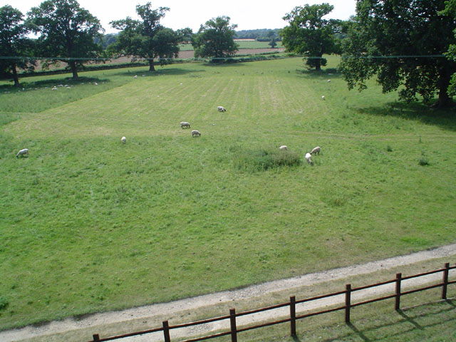 DSC00179