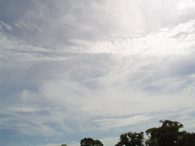 DSC00181