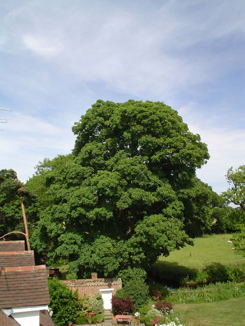 DSC00182