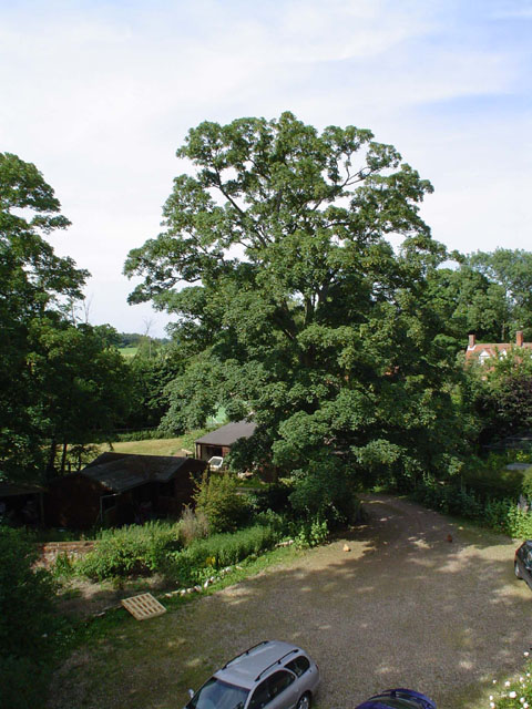 DSC00185