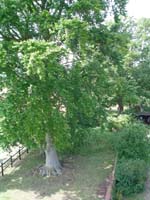DSC00148