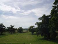 DSC00155