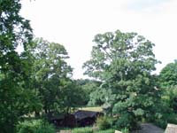 DSC00156