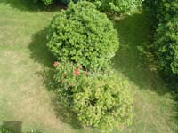 DSC00161