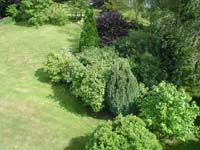 DSC00173