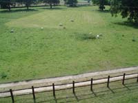 DSC00178