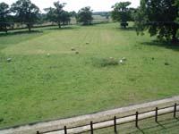 DSC00179