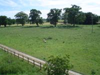 DSC00180