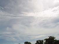 DSC00181