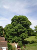 DSC00182