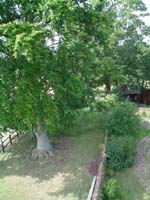 DSC00189